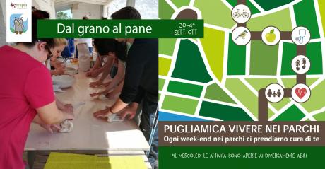 Il laboratorio del grano e del pane