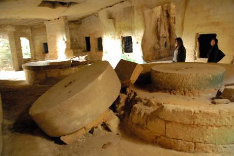 Laboratorio del Paesaggio: Escursione a masseria Amastuola e cicloescurione Frantoio Ipogeo