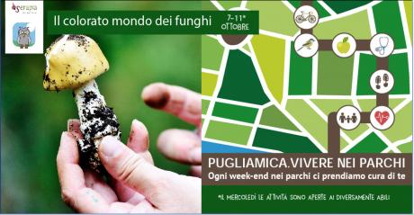 Il colorato mondo dei funghi