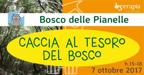 Caccia al tesoro del bosco