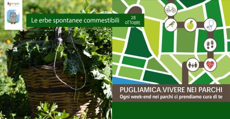 Vivere nei Parchi - Le erbe spontanee commestibili