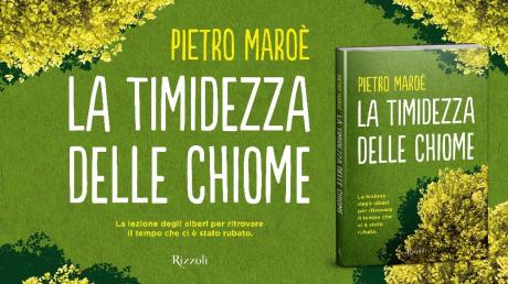 PIETRO MAORE' / LA TIMIDEZZA DELLE CHIOME Rizzoli
