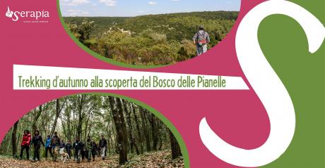 Colori d'autunno al Bosco Pianelle