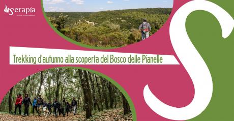 L'incantevole Bosco delle Pianelle