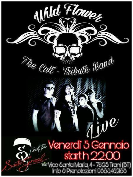 Wild Flower - The Cult Tribute band -Santo Graal Trani