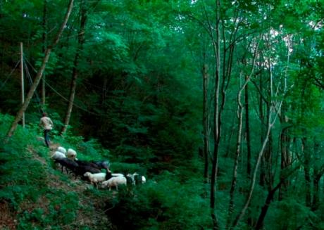 Continua la rassegna "Astradoc - viaggio nel cinema del reale"