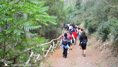 Escursione sui colli di Cisternino tra il bosco e i panorami mozzafiato
