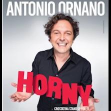 Horny - Crostatina Stand Up Volume II
