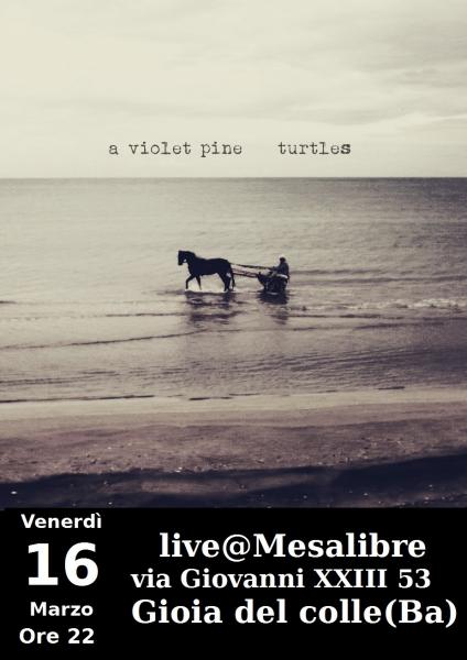 A Violet Pine Live