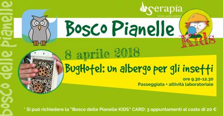 Bosco Pianelle KIDS - Bug Hotel: un albergo per gli insetti