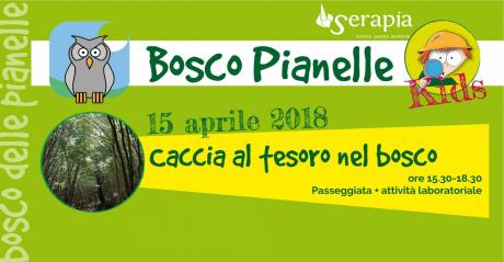 Bosco Pianelle KIDS - Caccia al tesoro nel bosco!