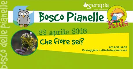 Bosco Pianelle KIDS - Che fiore sei?