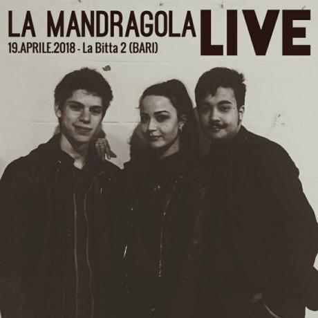 La Mandragola Live at La Bitta 2