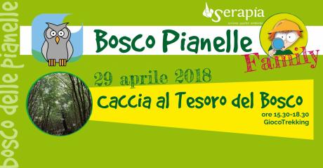 Bosco Pianelle FAMILY - Caccia al tesoro nel bosco!