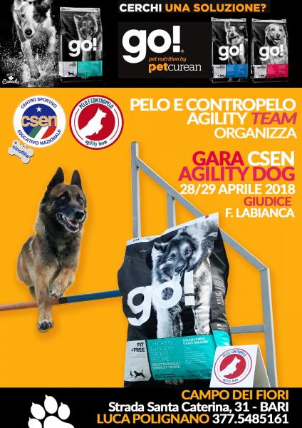 Gara Agility Dog CSEN qualificazioni alle finali nazionali