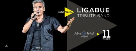 Radiofreccia - Ligabue tribute band live.