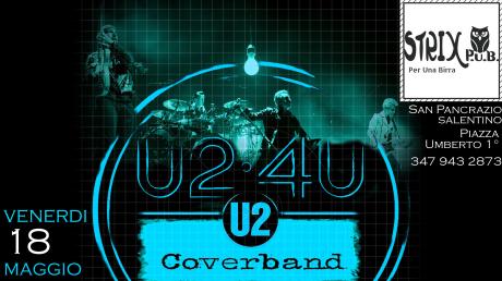 U2-4U live at Strix pub
