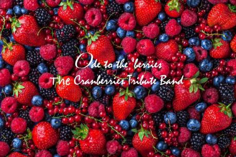 Ode to the 'berries - The Cranberries Tribute in concerto al Nordwind discopub