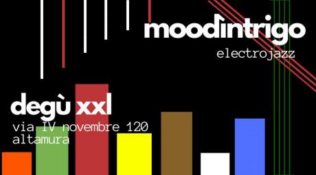 Moodìntrigo // Degù XXL