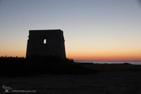 Escursione fino al tramonto a Torre Pozzelle