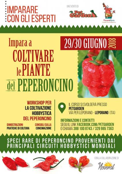 "Impara a coltivare le piante del peperoncino": due giorni di workshop a Talsano