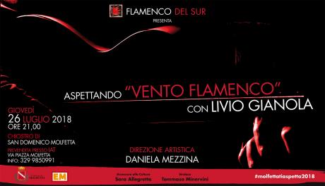 Aspettando Vento Flamenco con Livio Gianola Il 26 luglio a Molfetta il maestro della chitarra flamenca a otto corde