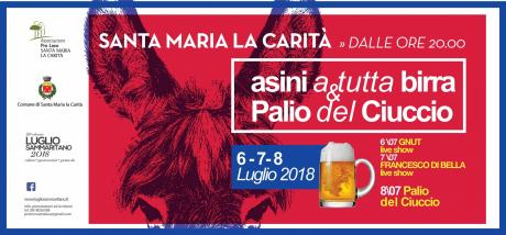 Asini a tutta Birra