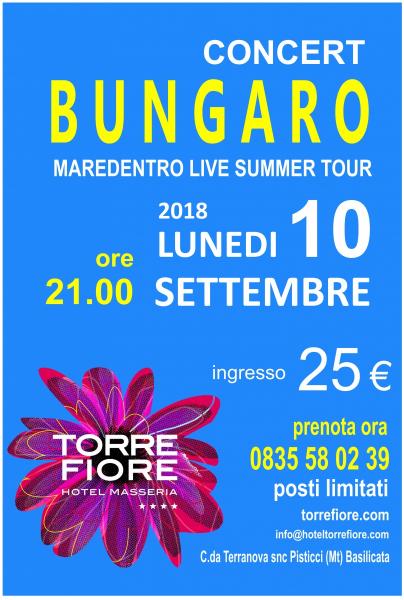 Bungaro in concerto