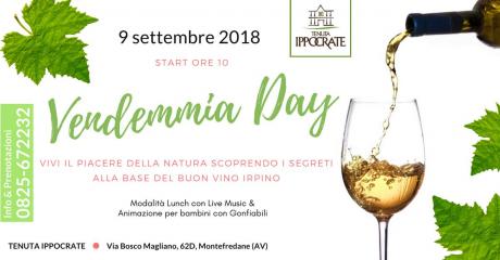 VENDEMMIA DAY - Lunch, Animazione & Live Music con "I Malamente"