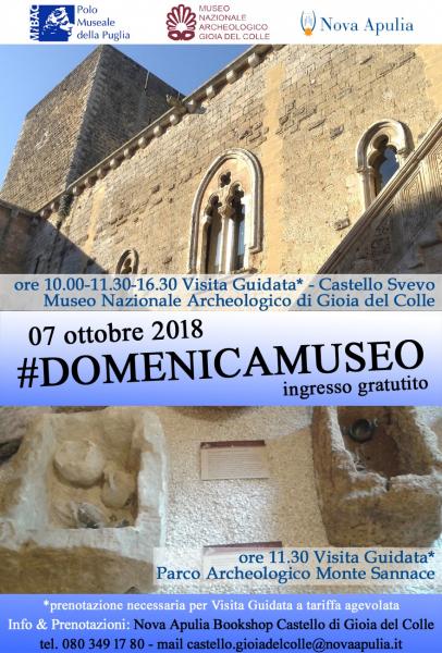 Scopri i tesori storico-artistici con Domenicalmuseo a Gioia del Colle