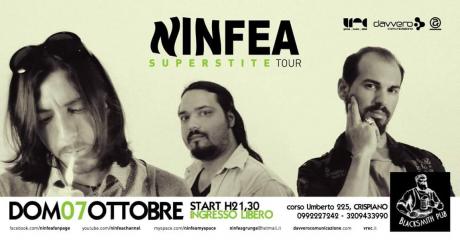 Ninfea