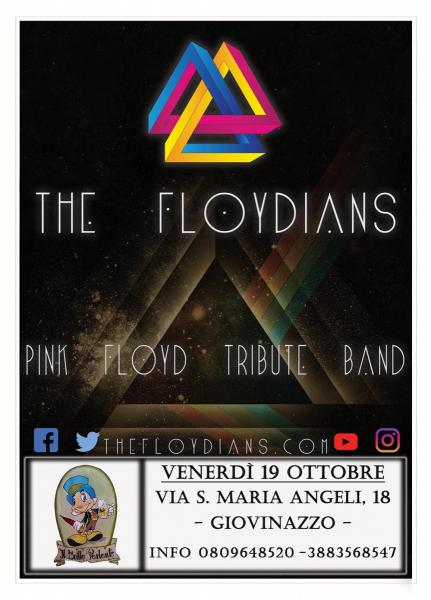 Pink Floyd Night