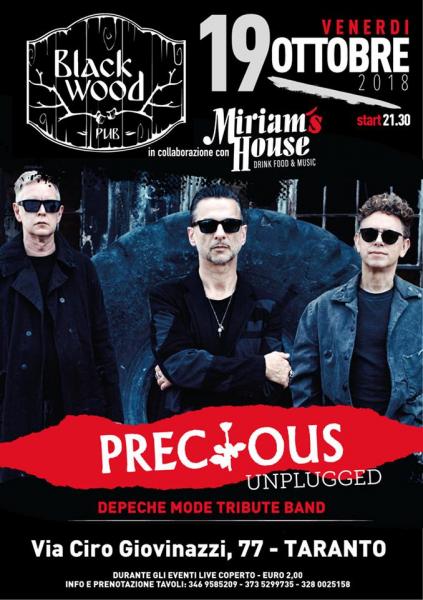 Precious - Depeche Mode tribute Live Unplugged at Black Wood Pub