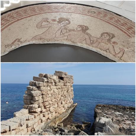 Visita al Museo e Parco Archeologico di Egnazia con Acropoli e Tomba delle Melagrane