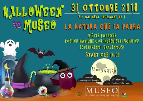 Halloween in Museo