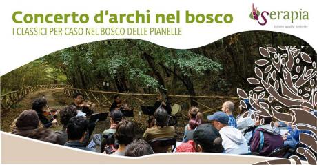 Concerti d'archi nel bosco