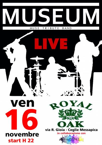 MuseuM - Muse Tribute Band Live at Royal Oak