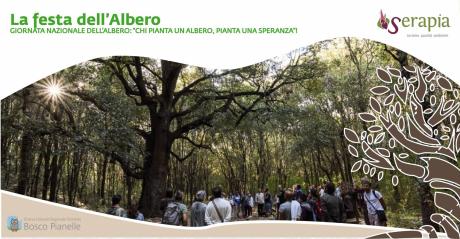 Festa dell'Albero