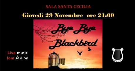 Bye Bye Blackbird