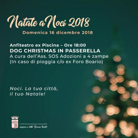 NATALE A NOCI 2018. Dog Christmas in passerella