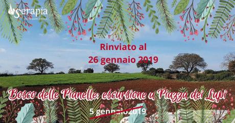Bosco delle Pianelle: escursione a Piazza dei Lupi