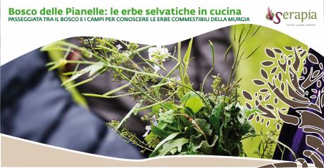 Bosco delle Pianelle:  le erbe selvatiche in cucina