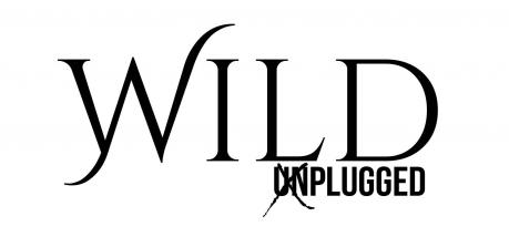 Wild - Acoustic Rock Duo