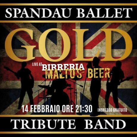 Gold, Spandau Ballet Tribute Band live concert