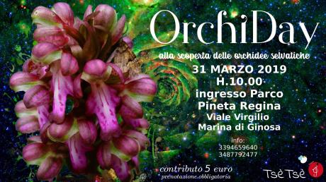 OrchiDay - alla scoperta delle orchidee selvatiche