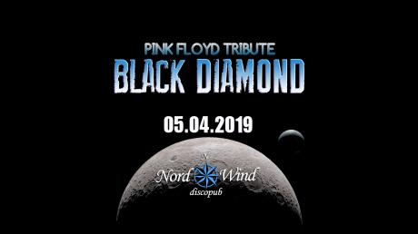 Black Diamond Pink Floyd Tribute Band live al Nordwind discopub