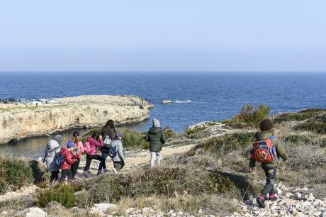 PaleoLab: i fossili di Cala Incina
