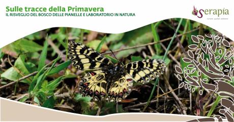Sulle tracce della Primavera