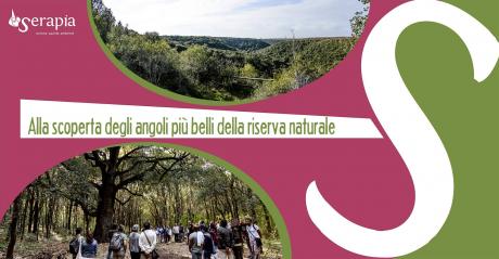 L'incantevole Bosco delle Pianelle