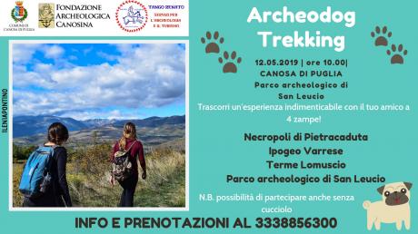 Archeodog Trekking:un'avventura col tuo amico a 4 zampe